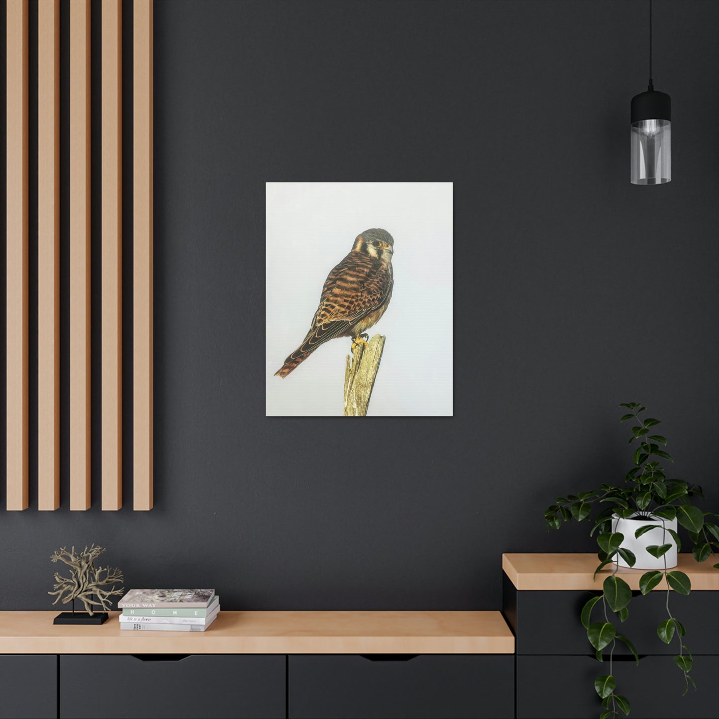 "Kestrel" Stretched Canvas