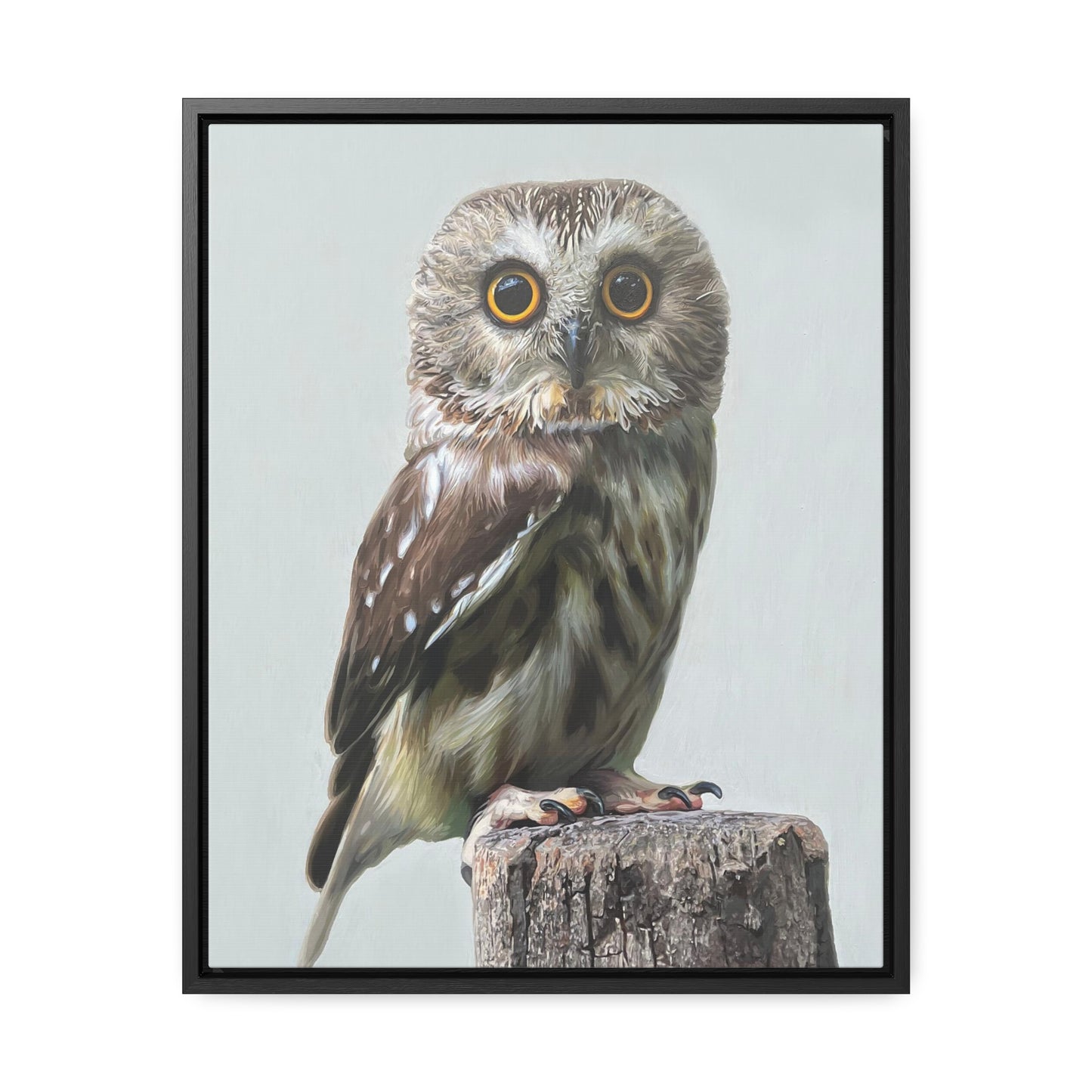 "Owl's Gaze" Framed Canvas