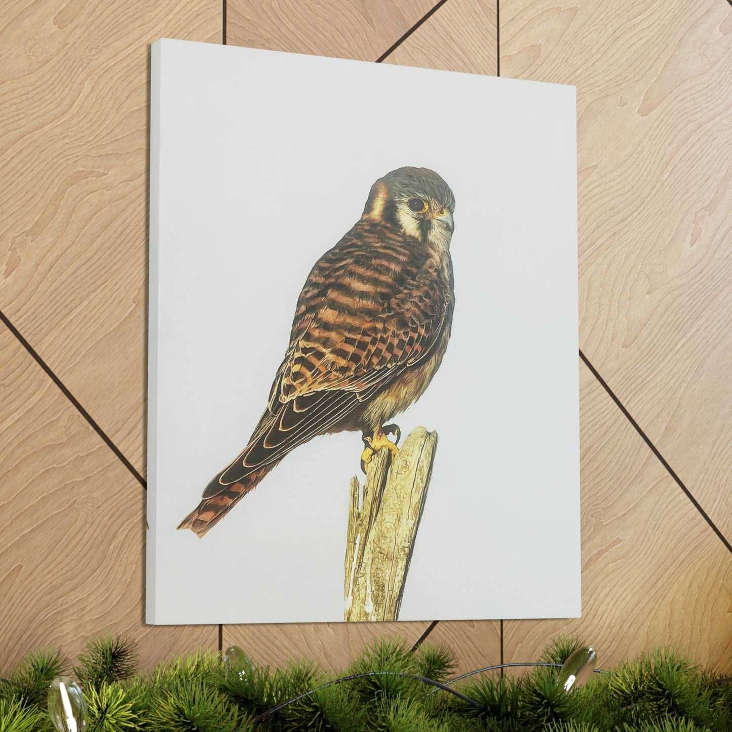 "Kestrel" Stretched Canvas