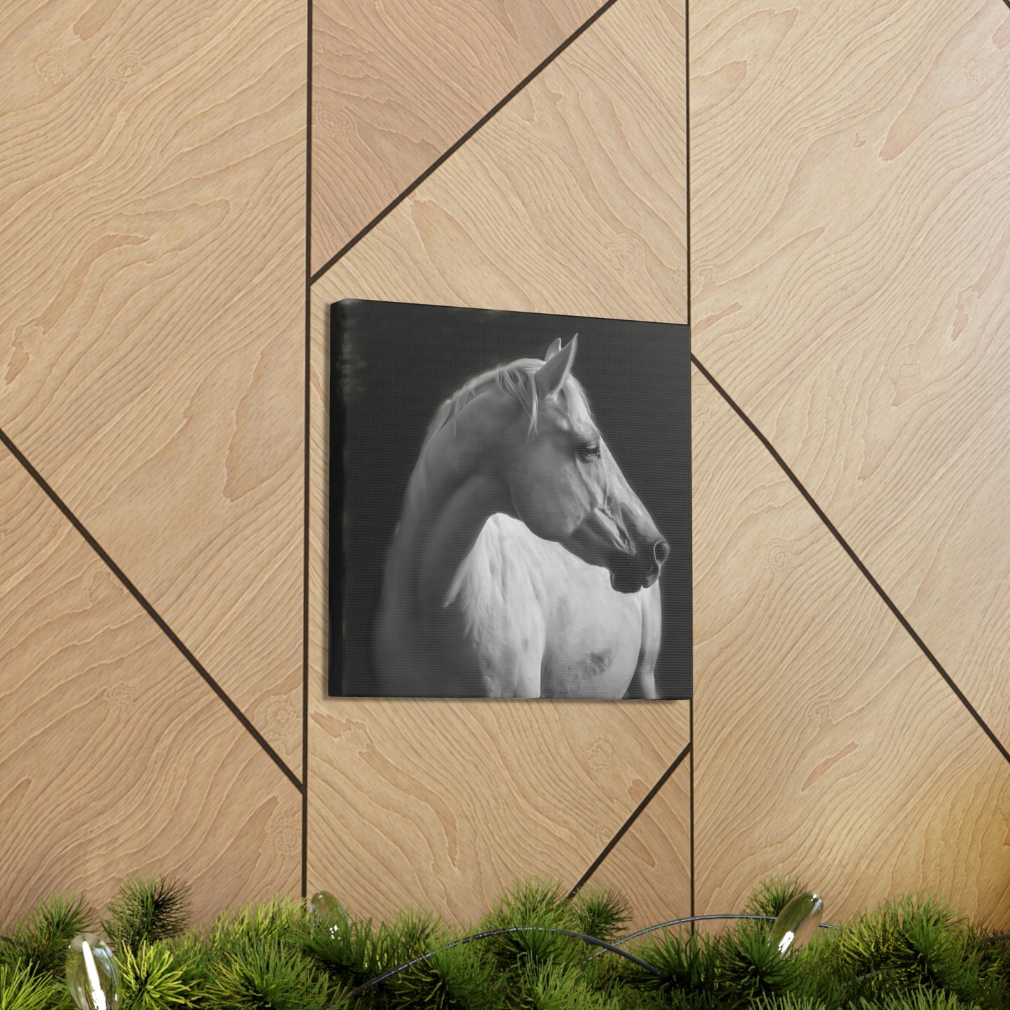 "The Mellow Mustang" Stretched Canvas