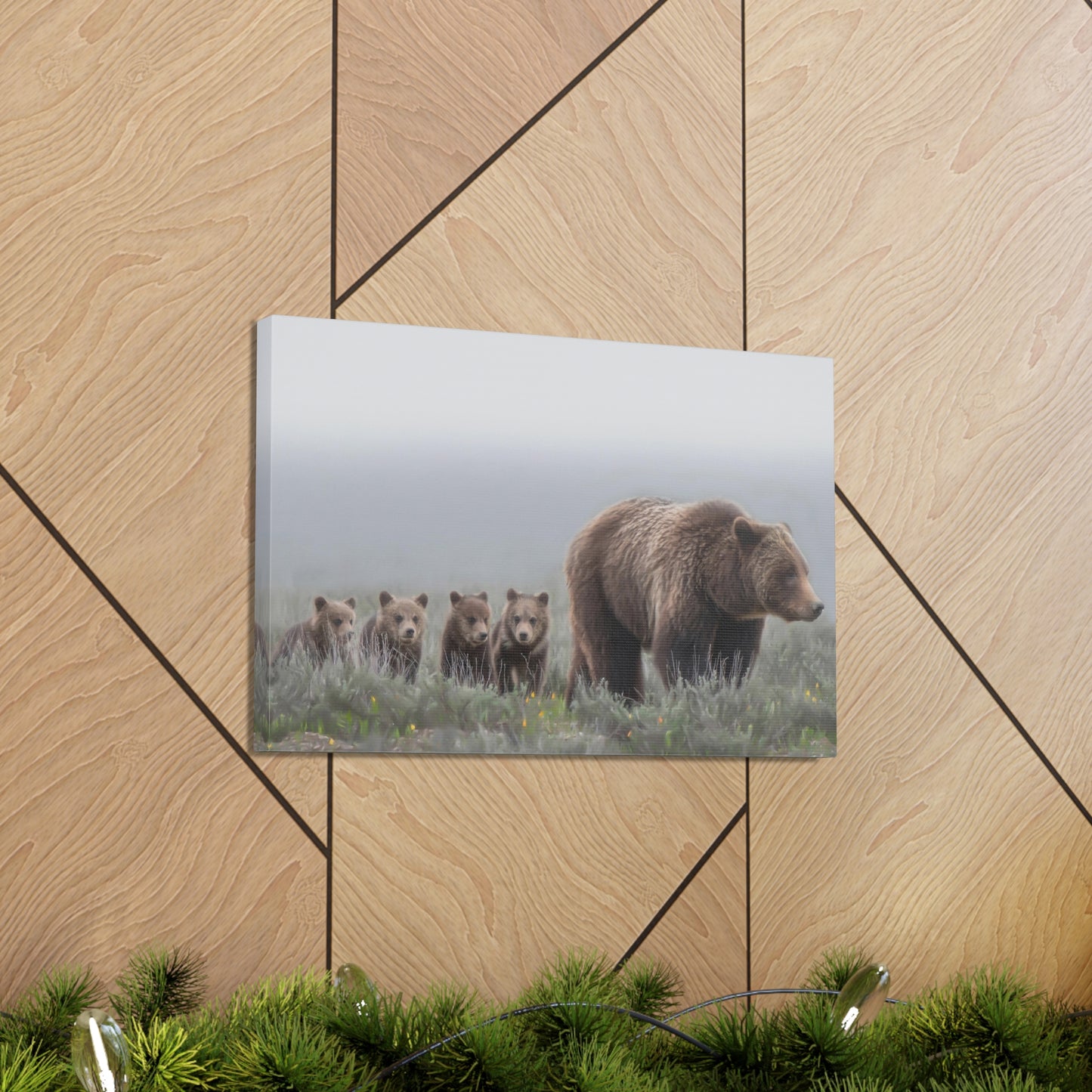 "Grizzly 399" Stretched Canvas