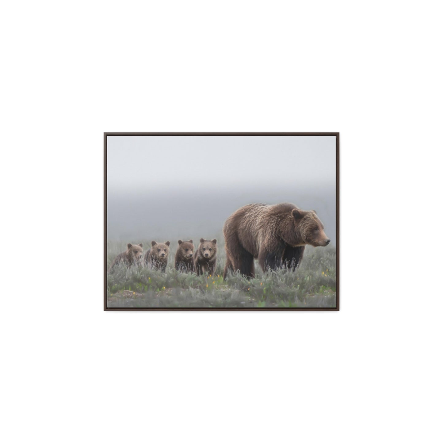 "Grizzly 399" Framed Canvas