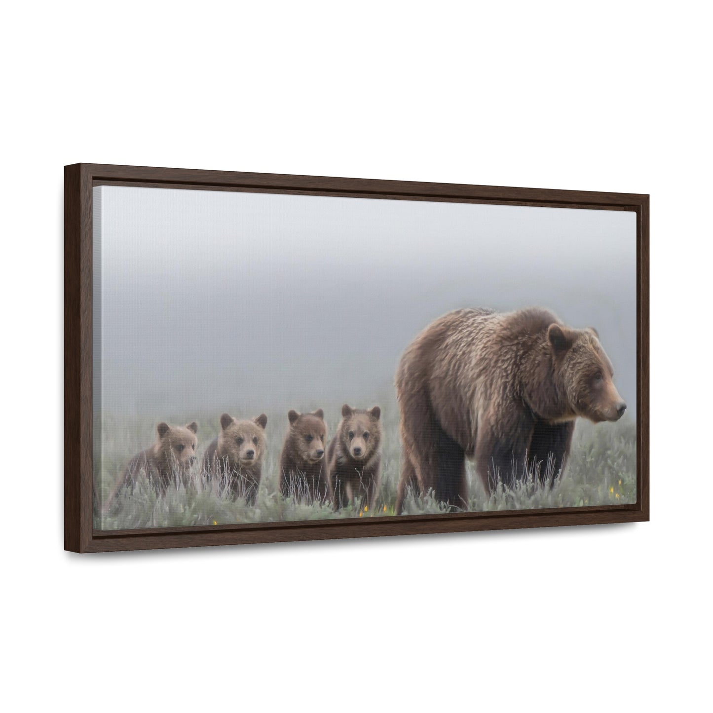 "Grizzly 399" Framed Canvas