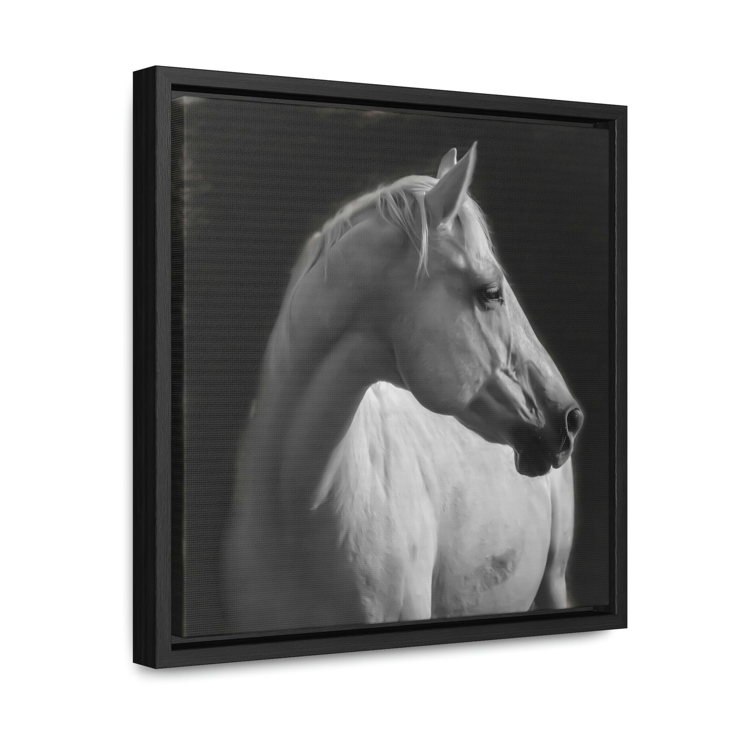 "The Mellow Mustang" Framed Canvas