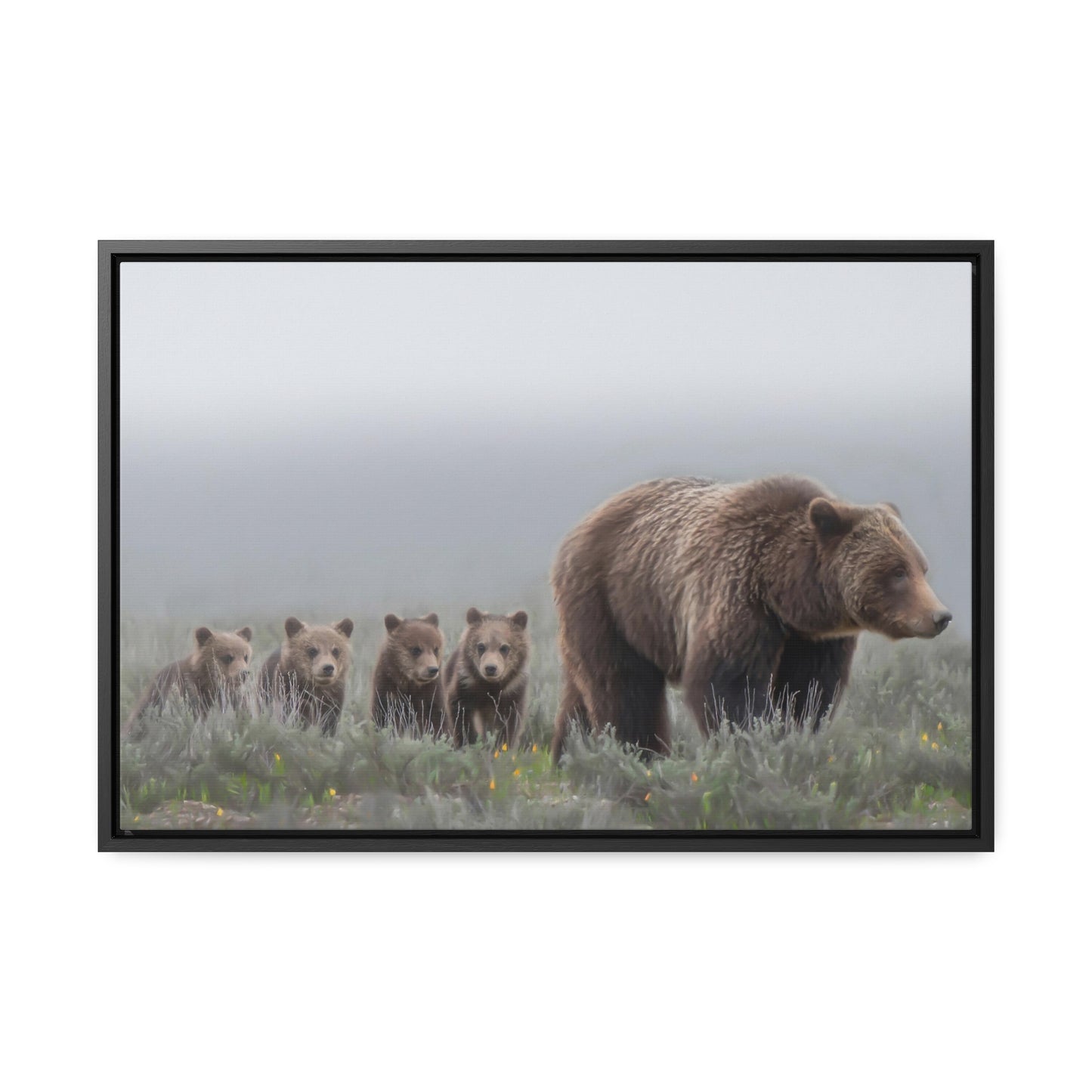 "Grizzly 399" Framed Canvas