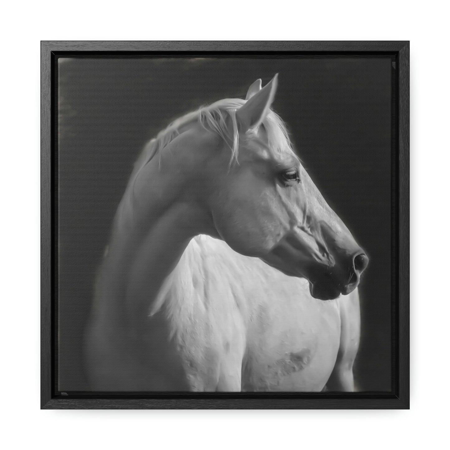 "The Mellow Mustang" Framed Canvas