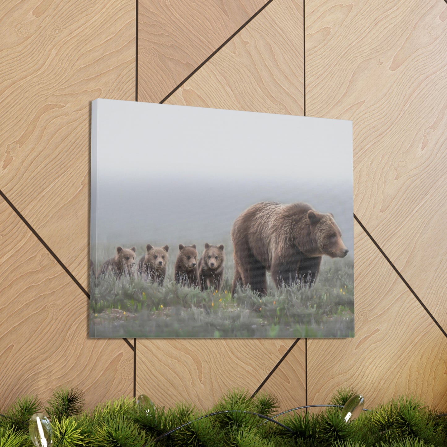 "Grizzly 399" Stretched Canvas