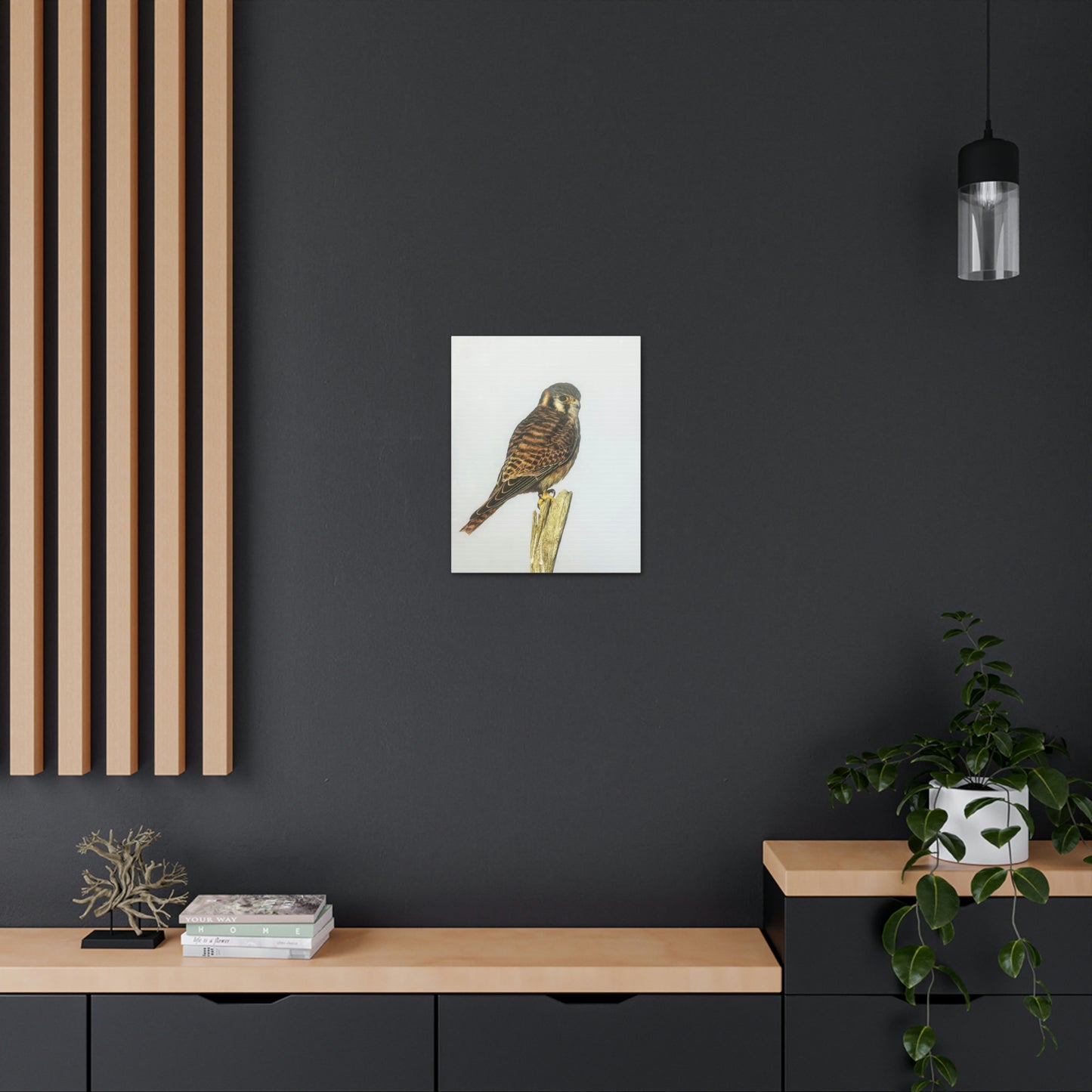 "Kestrel" Stretched Canvas