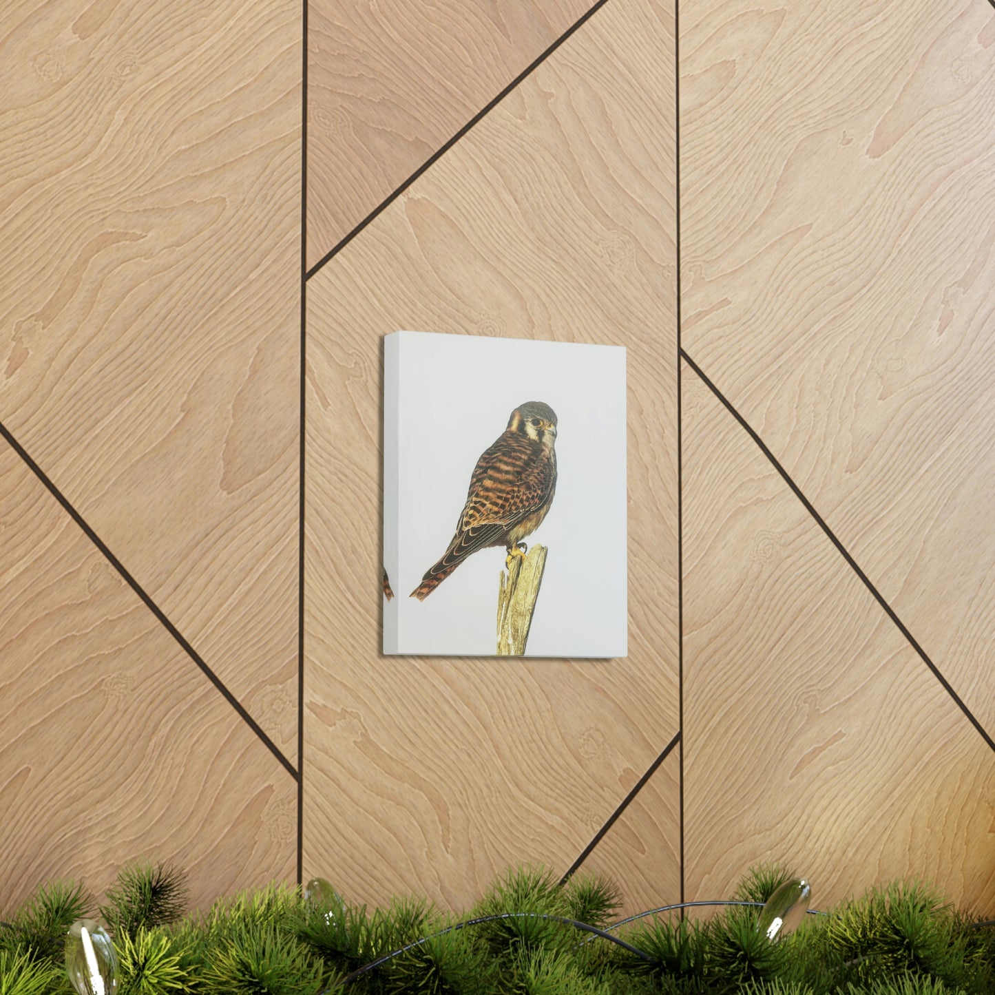 "Kestrel" Stretched Canvas