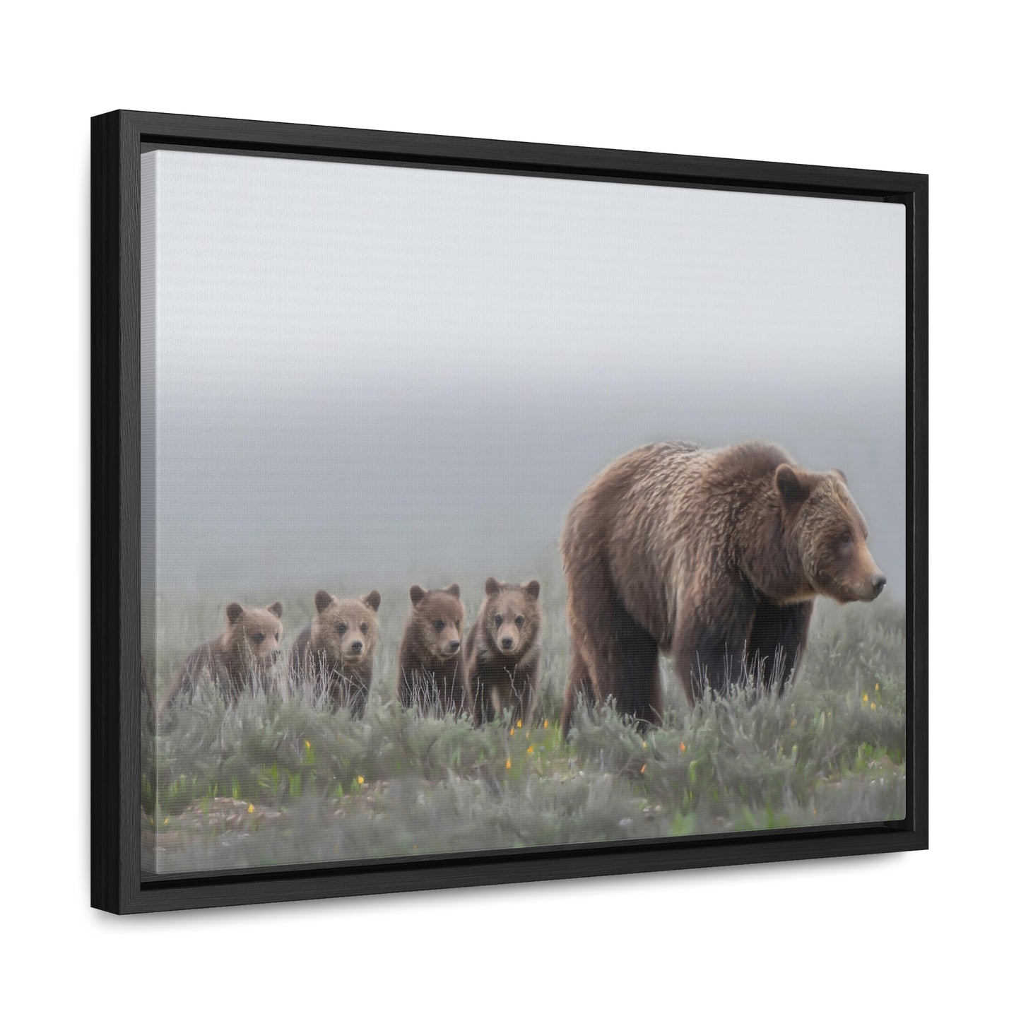 "Grizzly 399" Framed Canvas