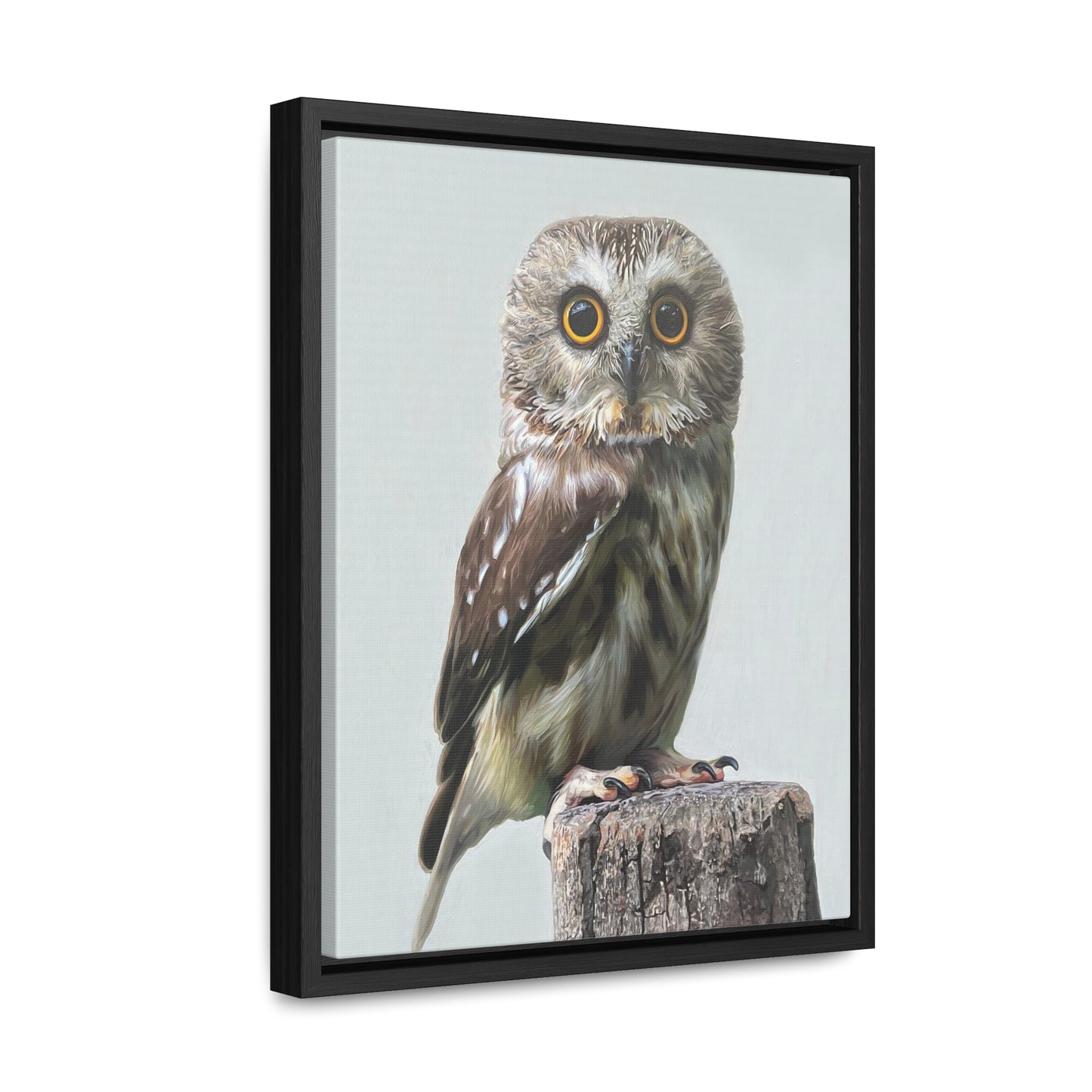 "Owl's Gaze" Framed Canvas