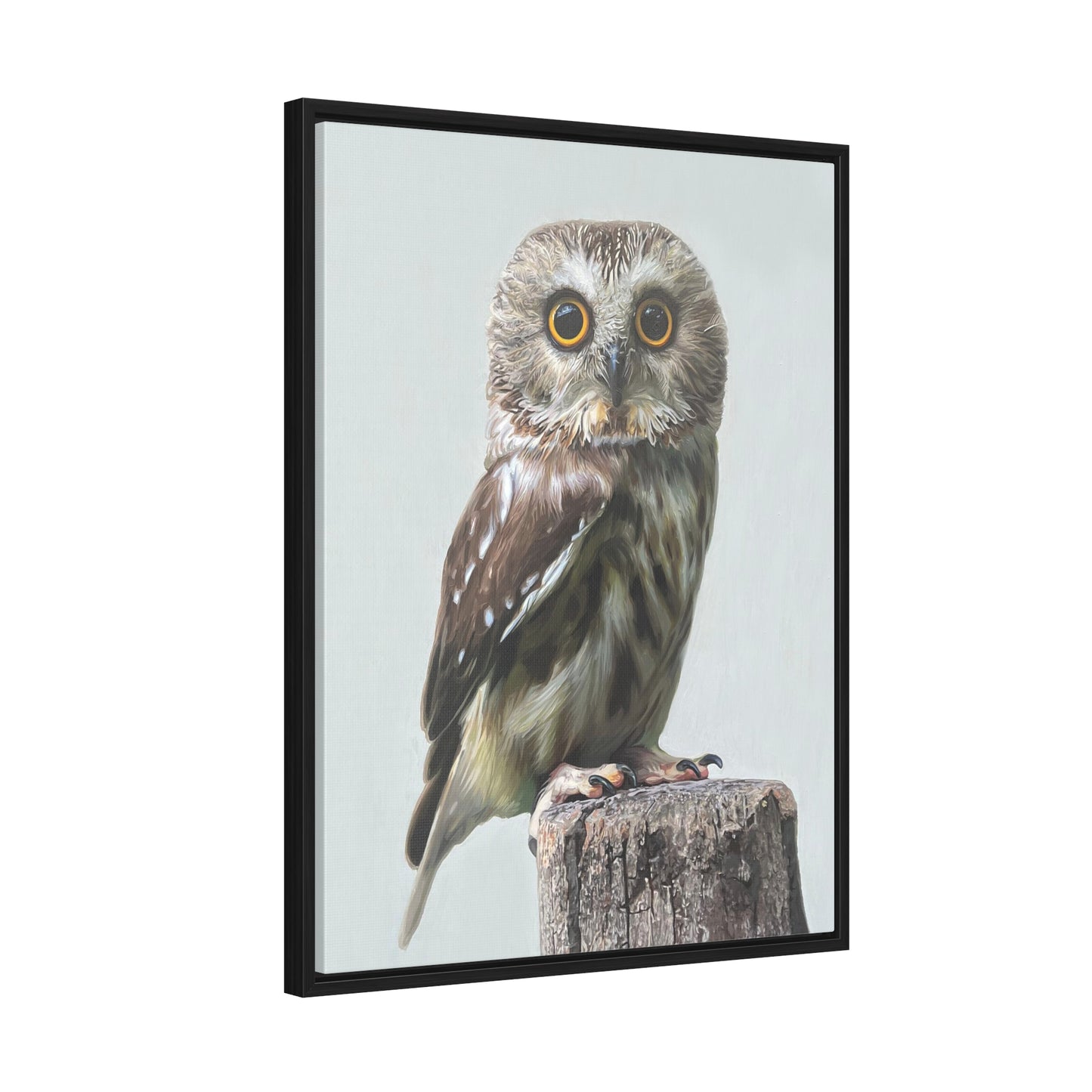 "Owl's Gaze" Framed Canvas