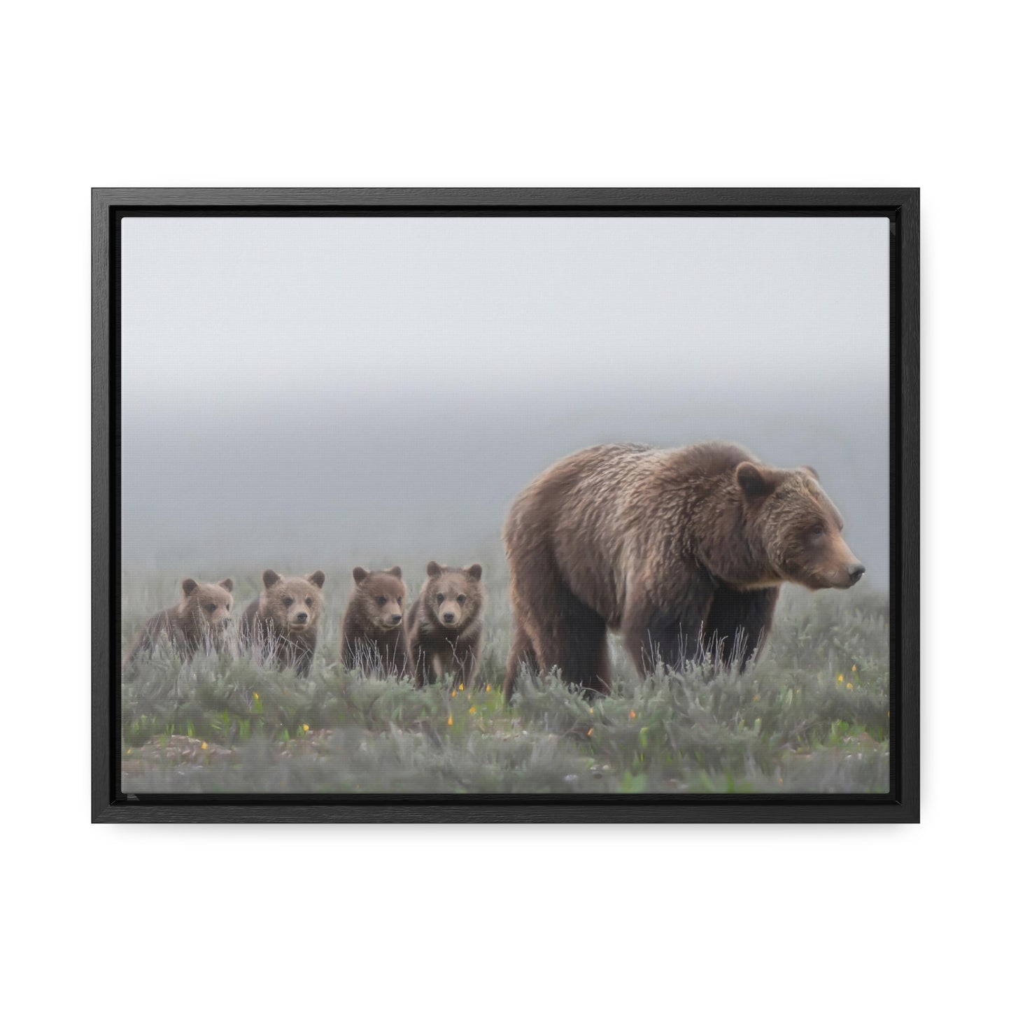 "Grizzly 399" Framed Canvas