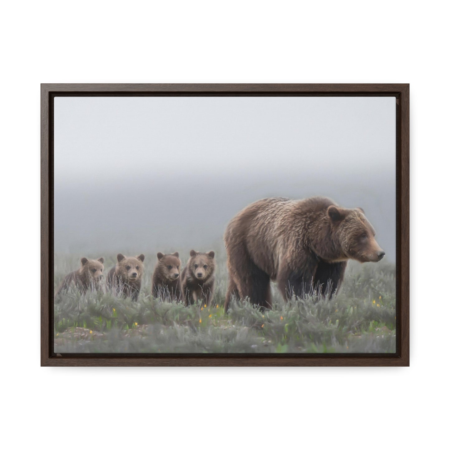 "Grizzly 399" Framed Canvas