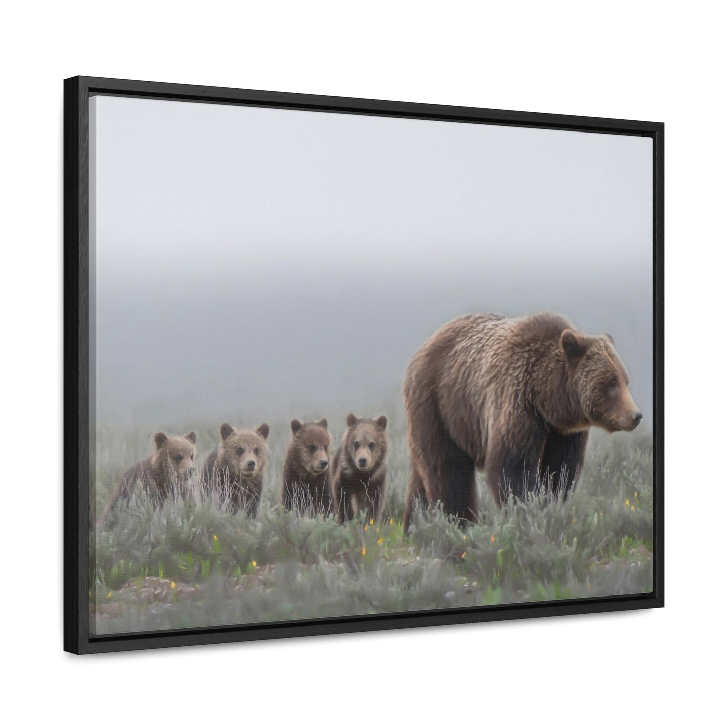 "Grizzly 399" Framed Canvas