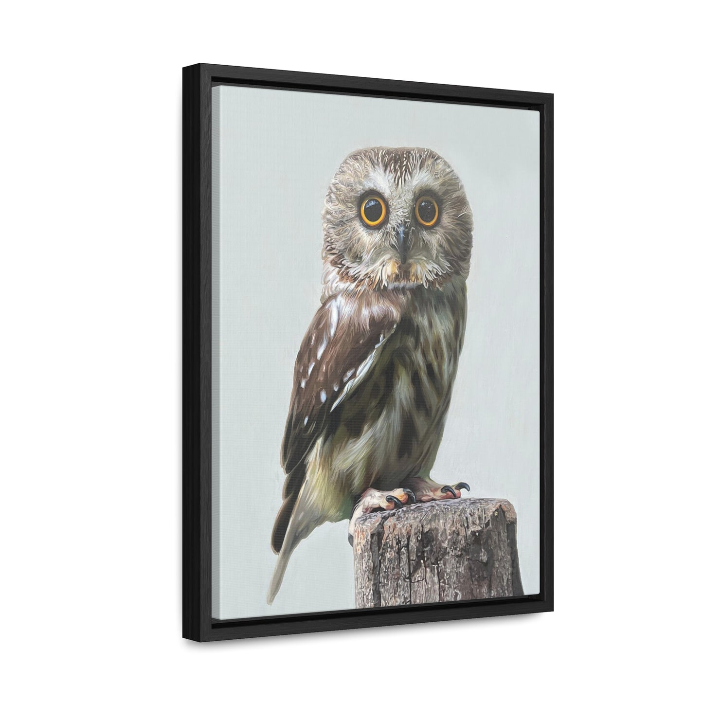 "Owl's Gaze" Framed Canvas