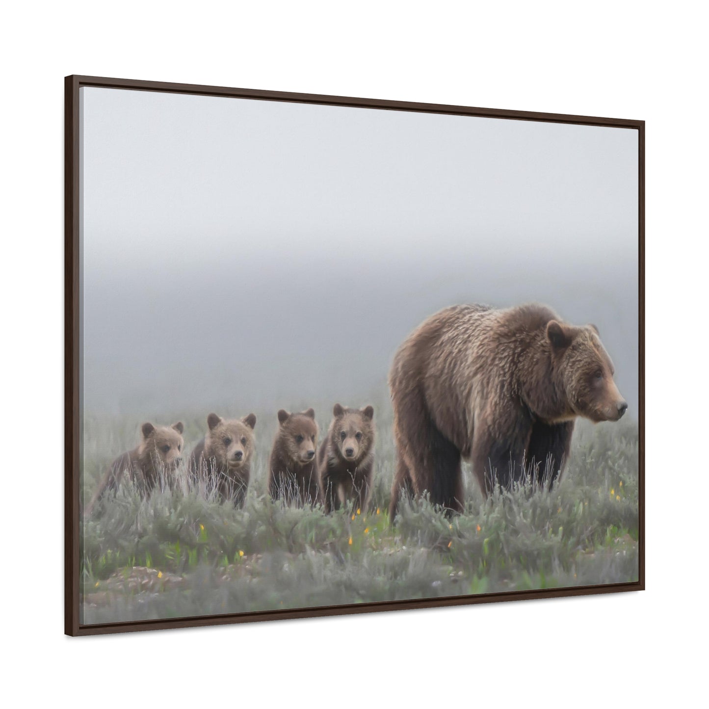 "Grizzly 399" Framed Canvas