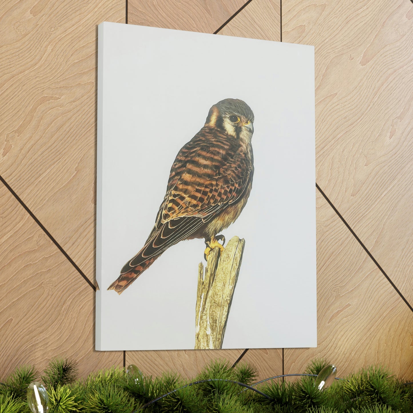 "Kestrel" Stretched Canvas