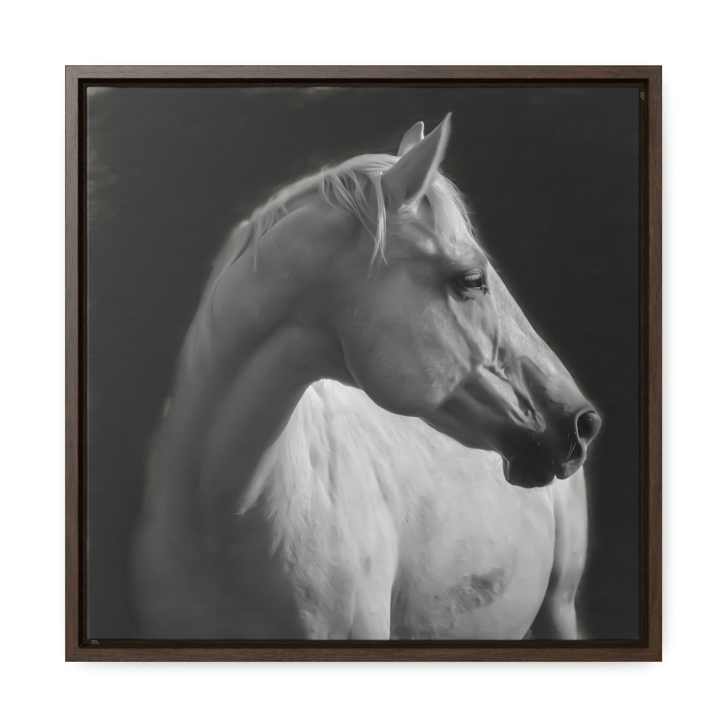 "The Mellow Mustang" Framed Canvas