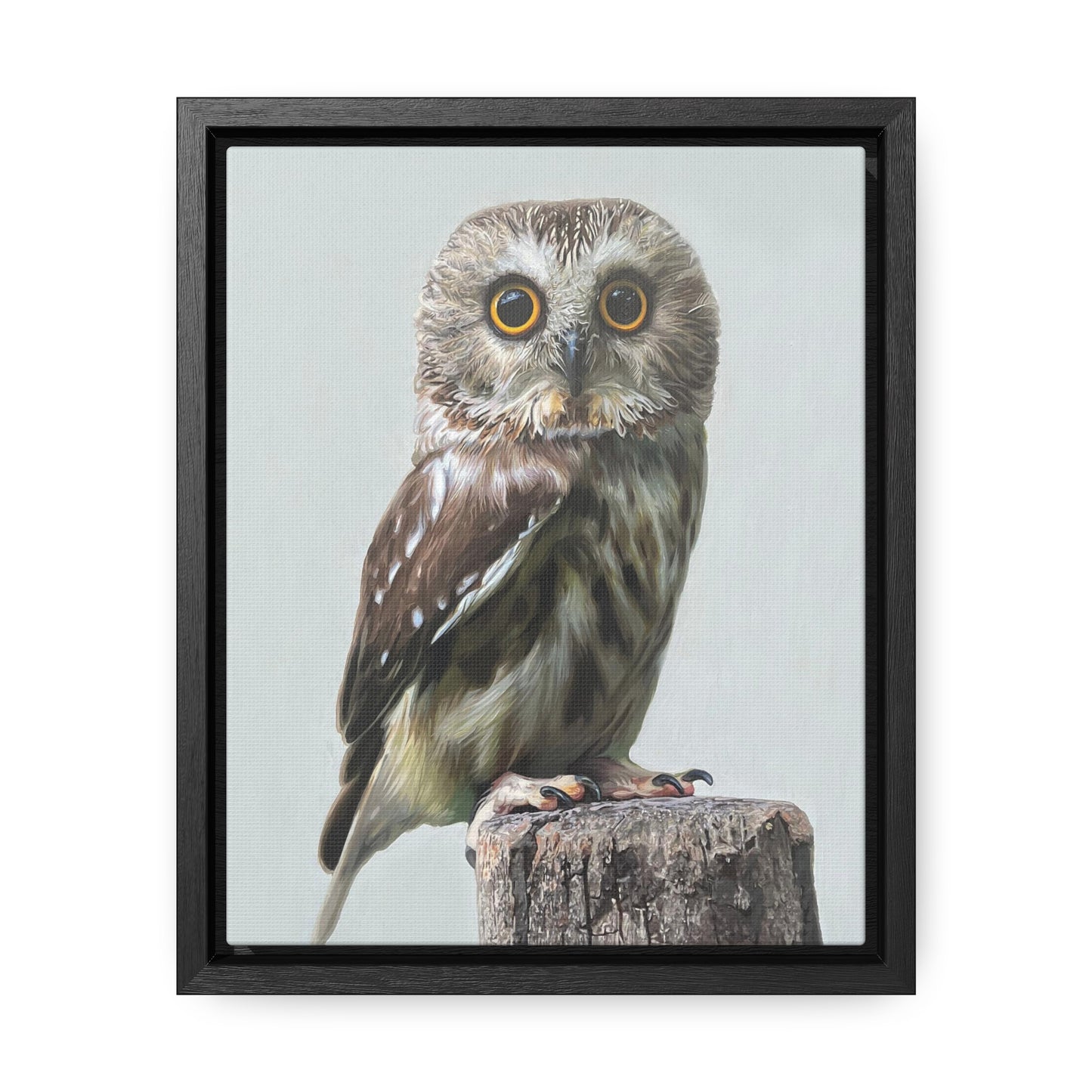 "Owl's Gaze" Framed Canvas