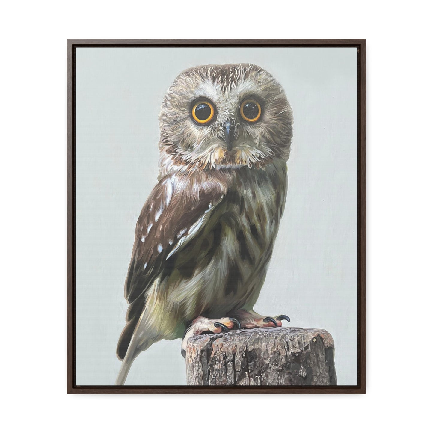 "Owl's Gaze" Framed Canvas