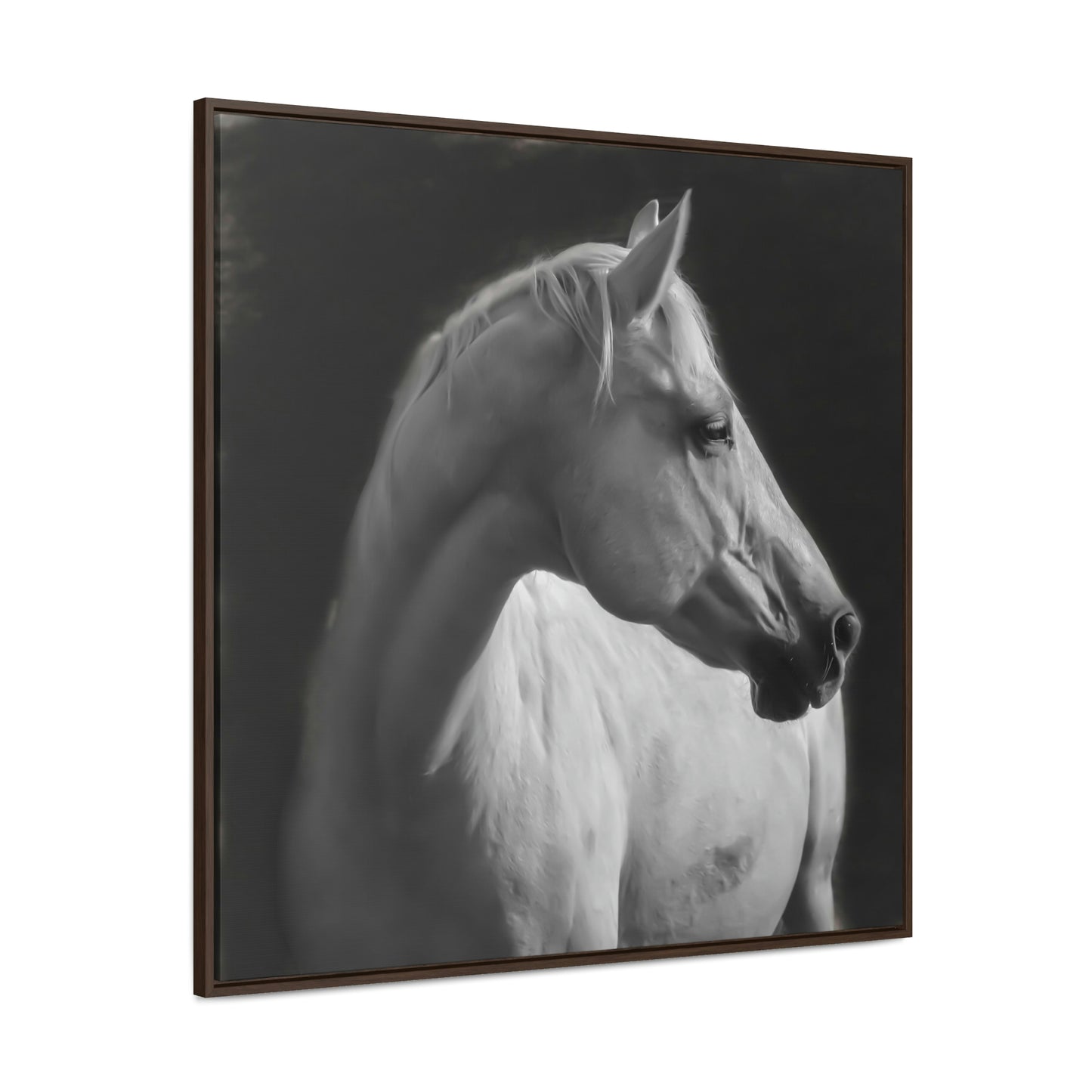 "The Mellow Mustang" Framed Canvas