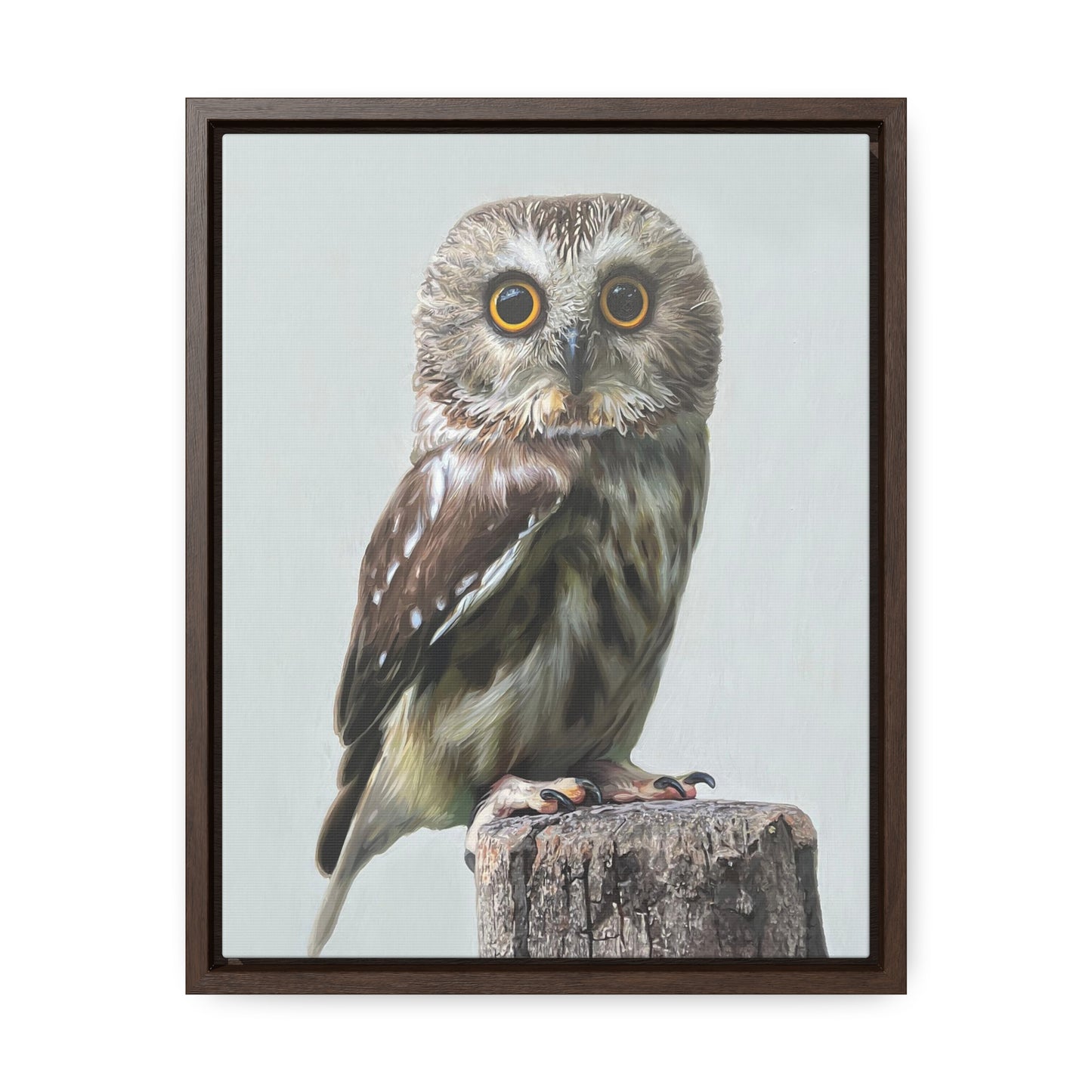 "Owl's Gaze" Framed Canvas