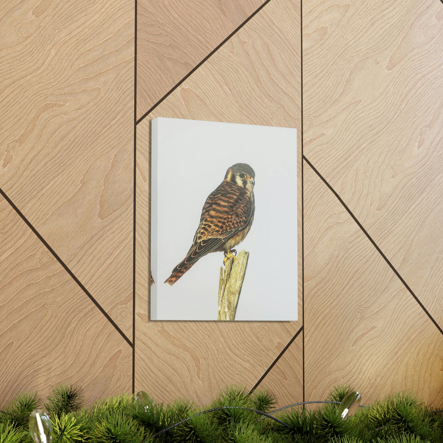 "Kestrel" Stretched Canvas