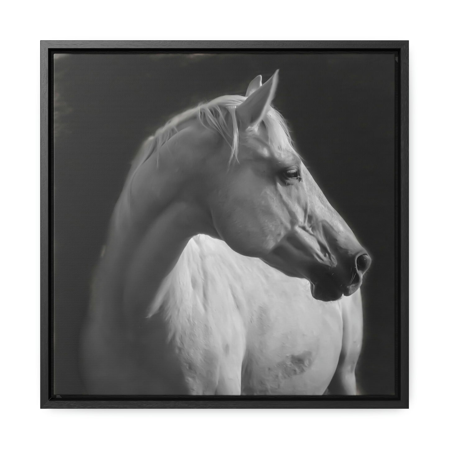 "The Mellow Mustang" Framed Canvas