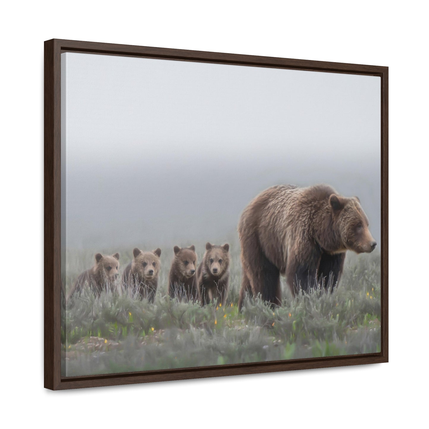 "Grizzly 399" Framed Canvas