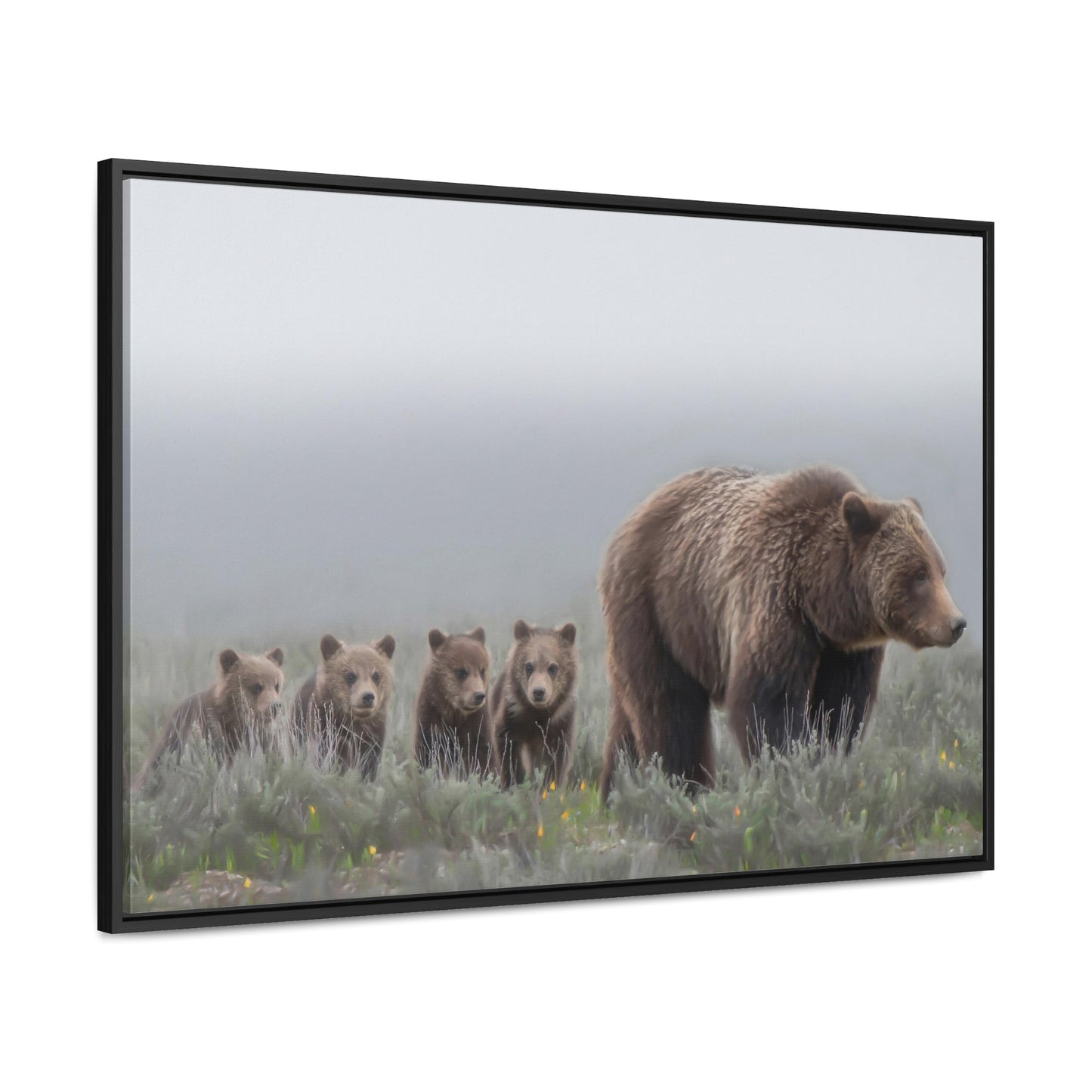 "Grizzly 399" Framed Canvas