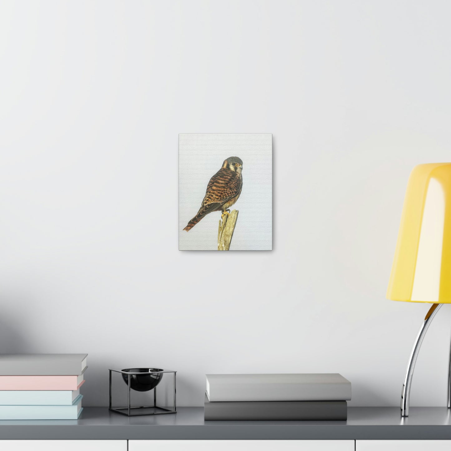 "Kestrel" Stretched Canvas