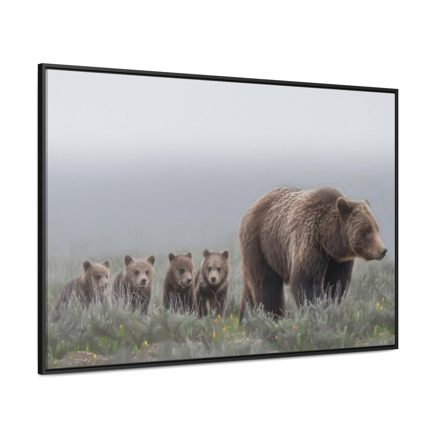 "Grizzly 399" Framed Canvas