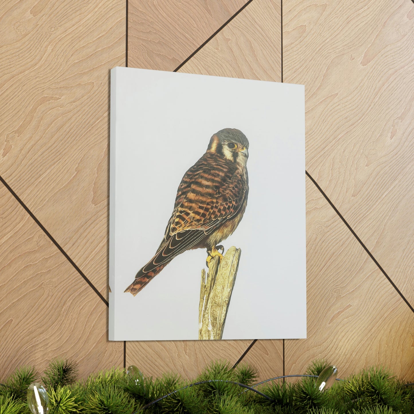 "Kestrel" Stretched Canvas