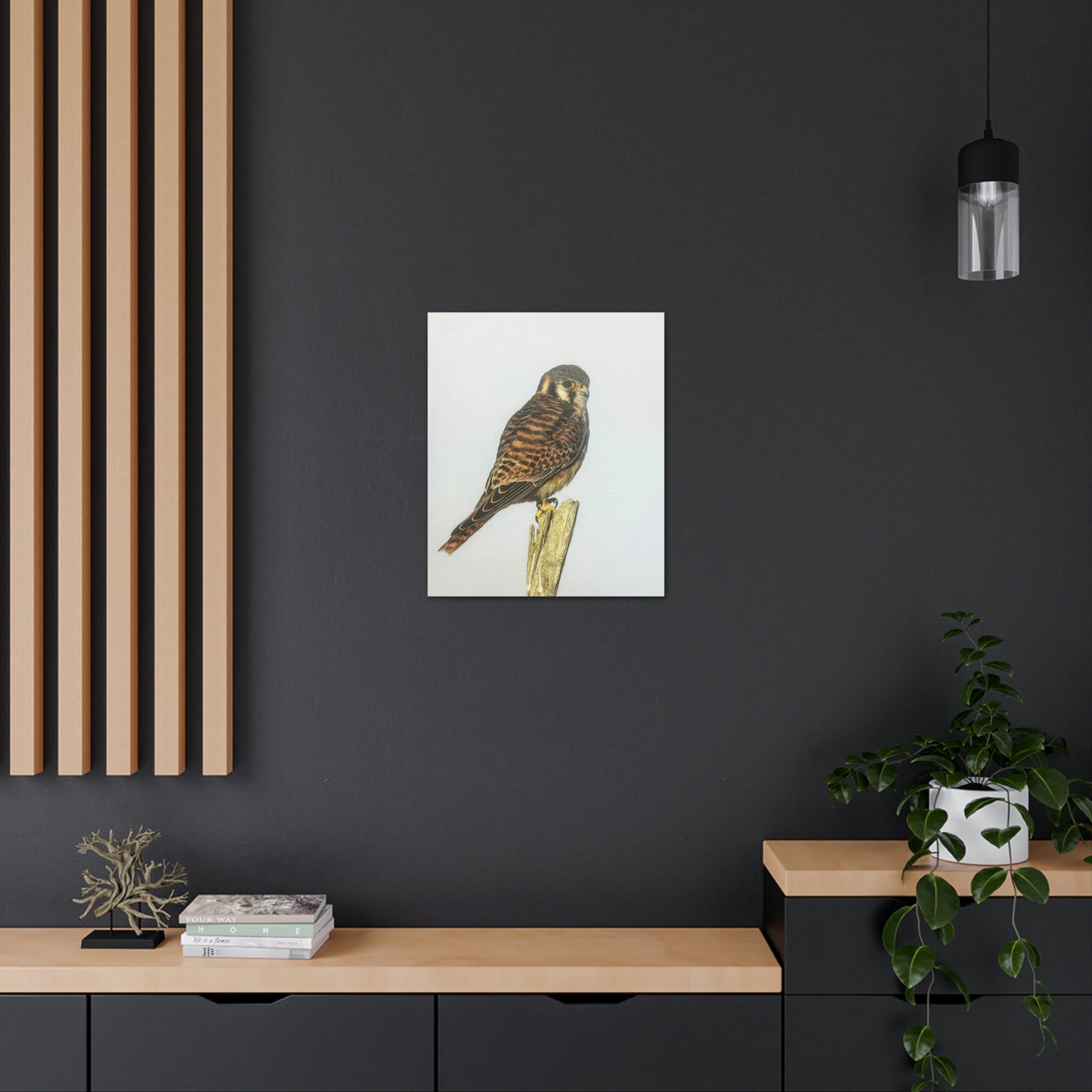 "Kestrel" Stretched Canvas