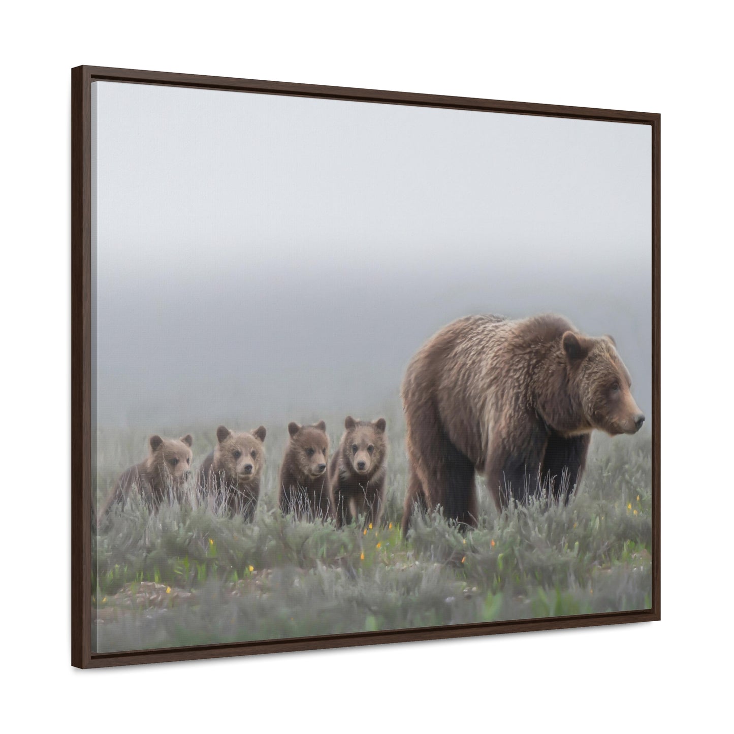 "Grizzly 399" Framed Canvas