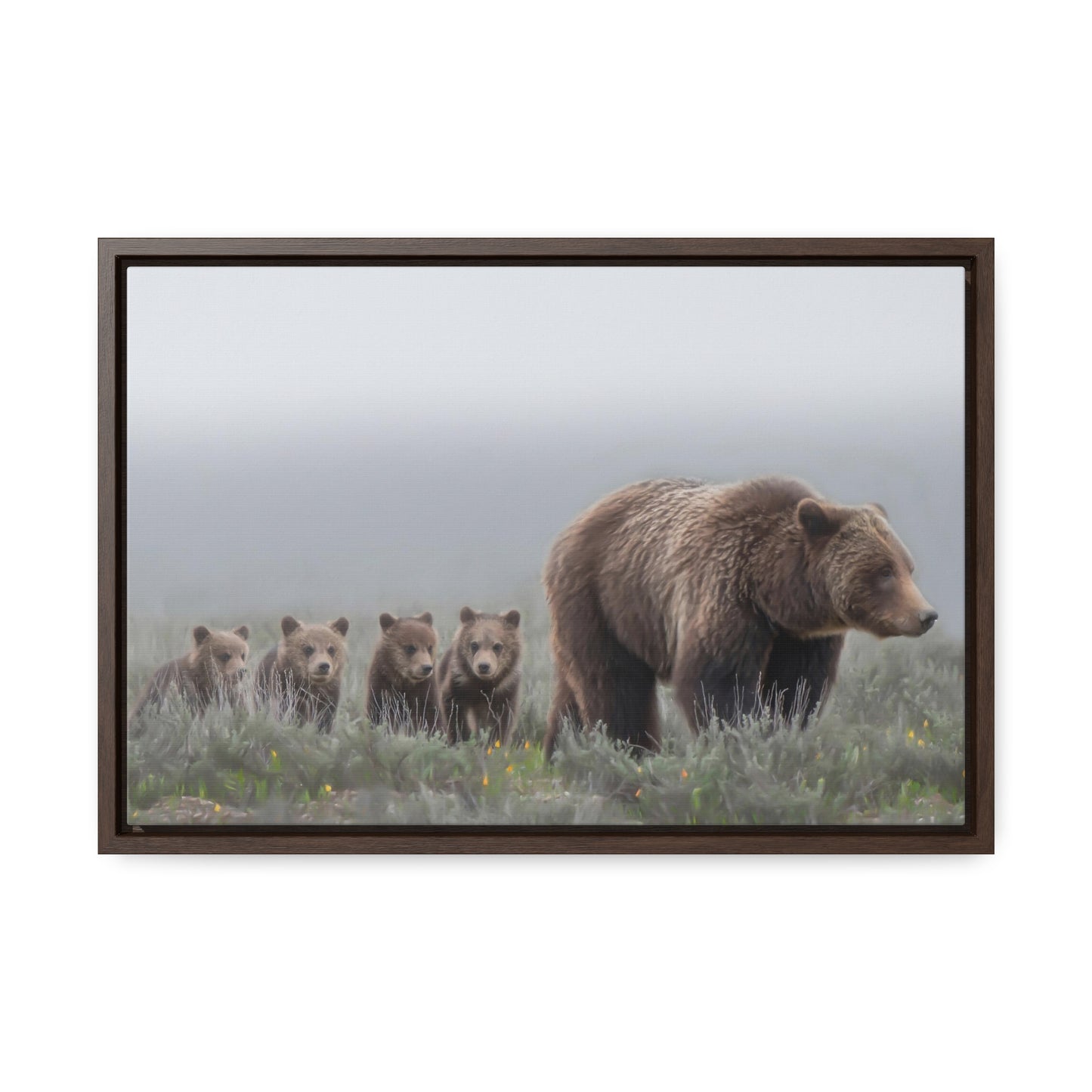 "Grizzly 399" Framed Canvas