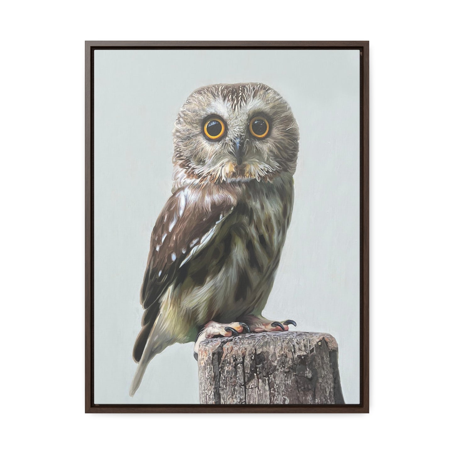 "Owl's Gaze" Framed Canvas