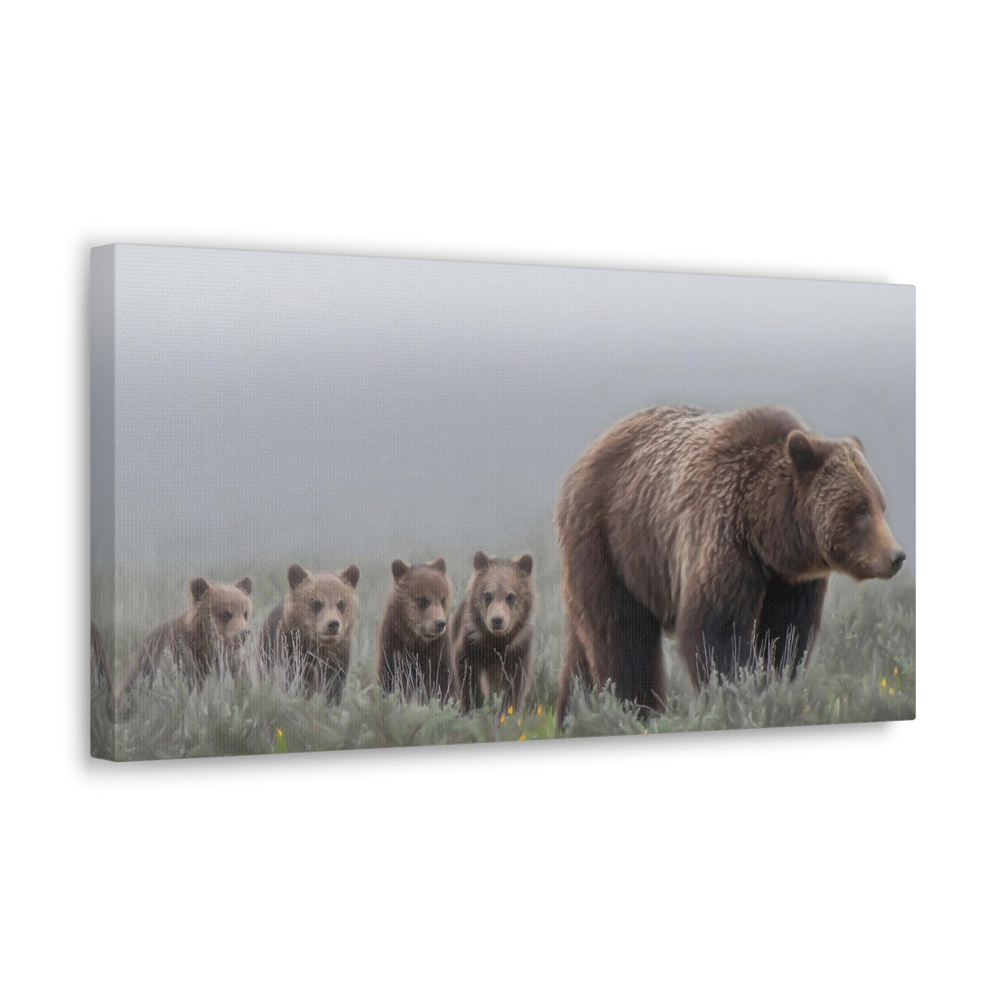 "Grizzly 399" Stretched Canvas