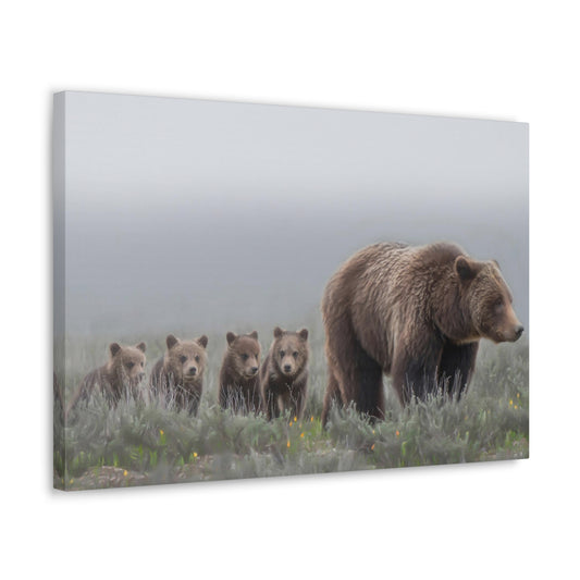 "Grizzly 399" Stretched Canvas