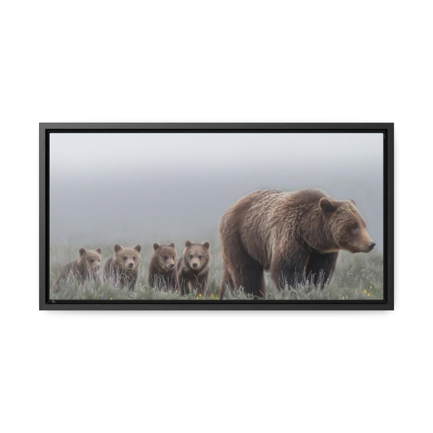 "Grizzly 399" Framed Canvas