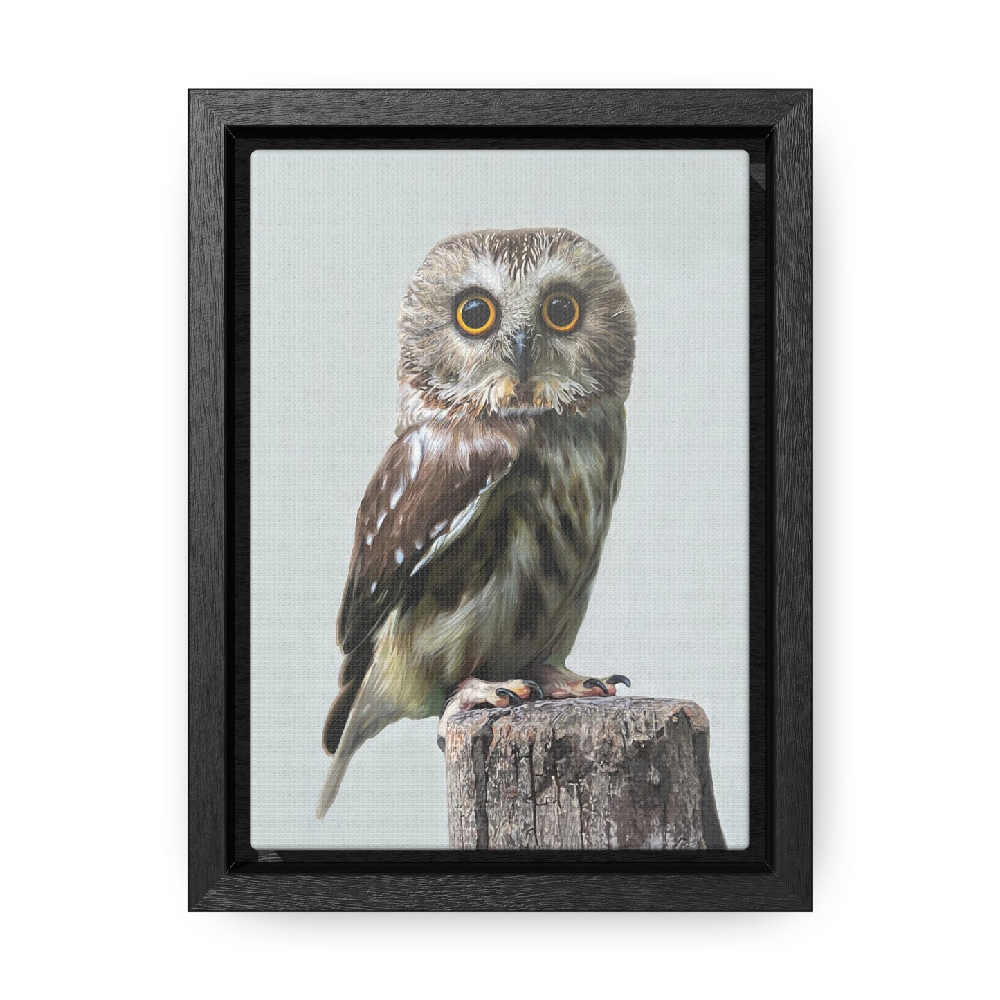 "Owl's Gaze" Framed Canvas