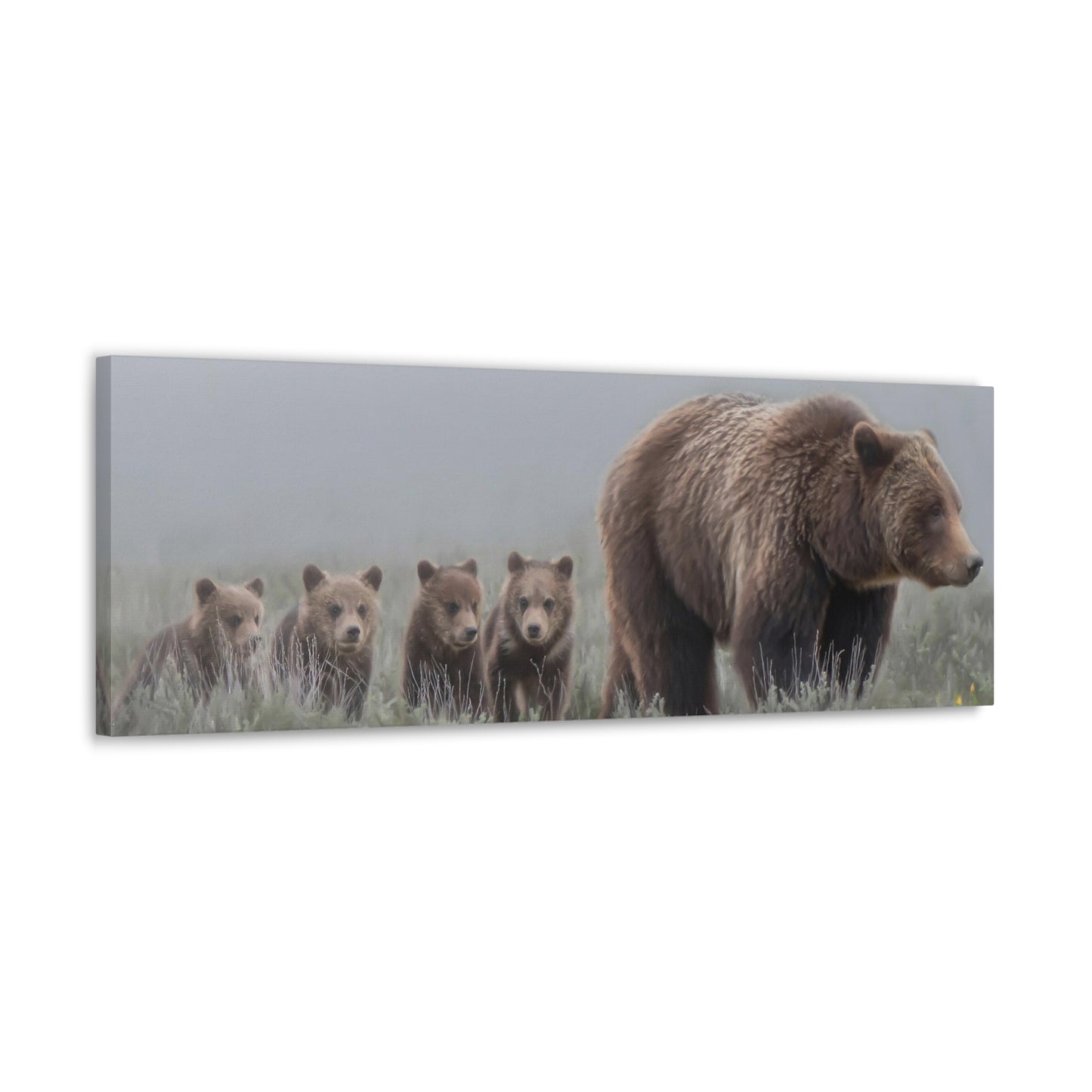 "Grizzly 399" Stretched Canvas