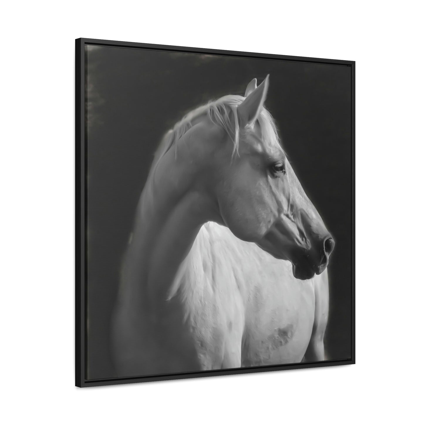 "The Mellow Mustang" Framed Canvas