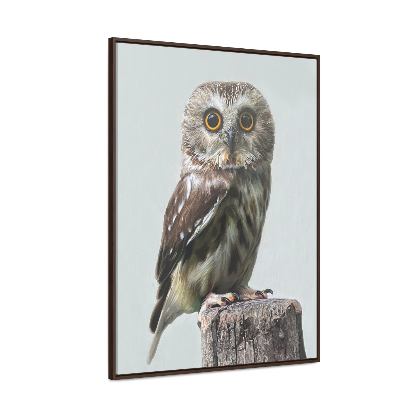 "Owl's Gaze" Framed Canvas