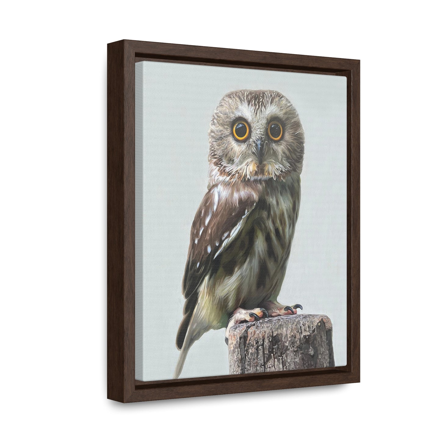 "Owl's Gaze" Framed Canvas