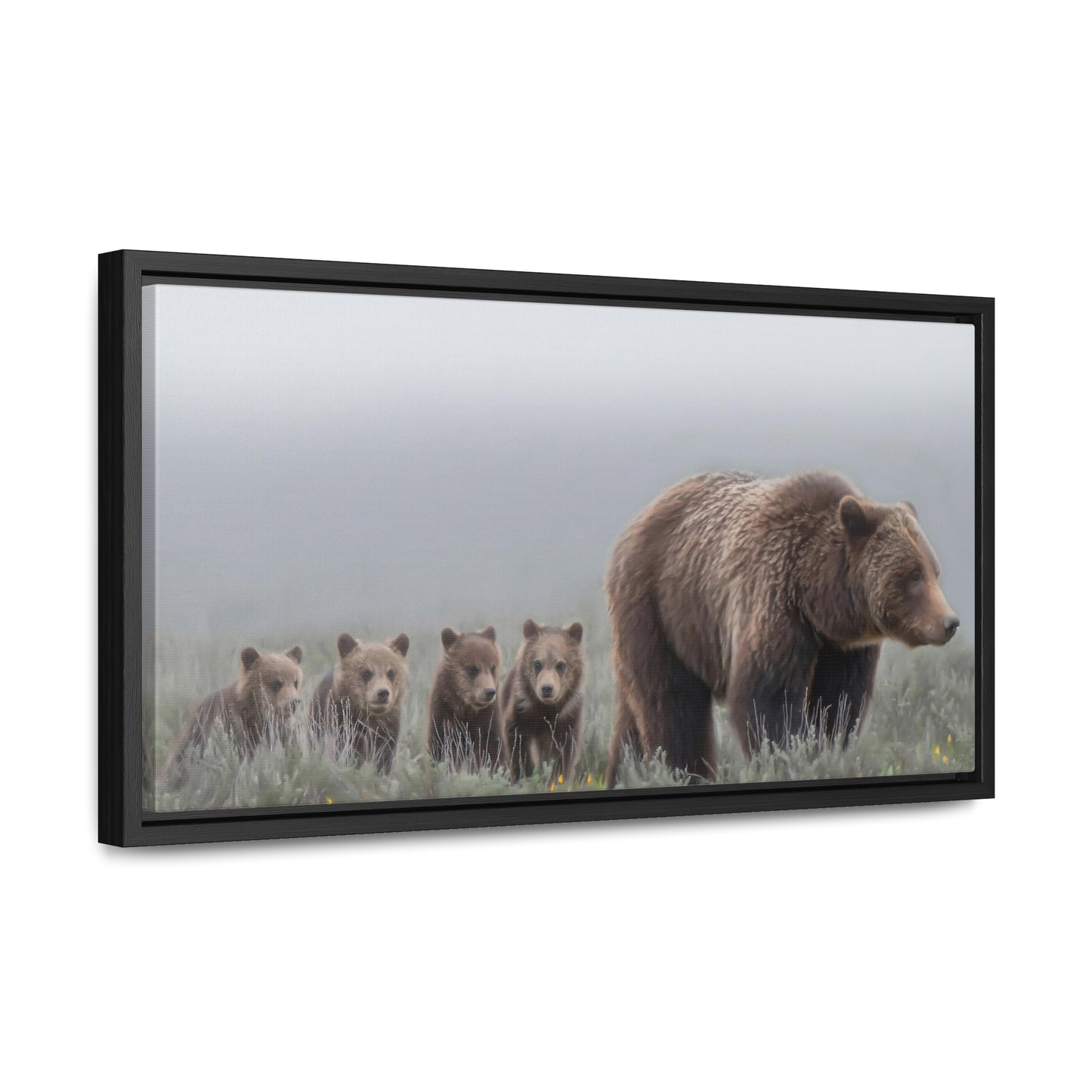 "Grizzly 399" Framed Canvas