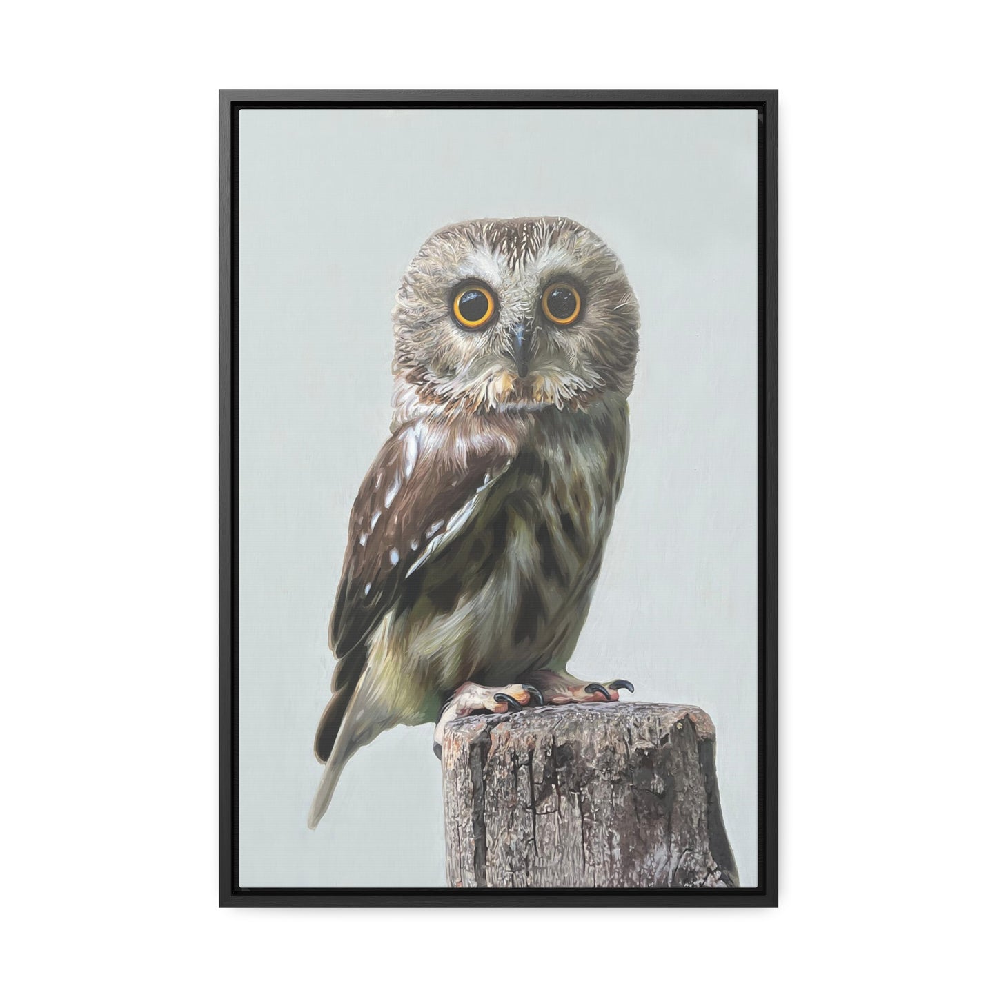 "Owl's Gaze" Framed Canvas