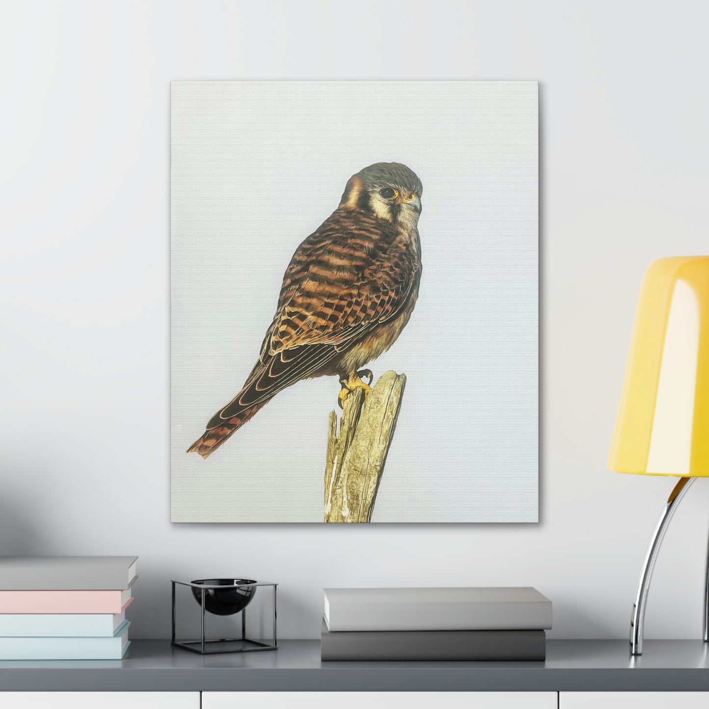 "Kestrel" Stretched Canvas