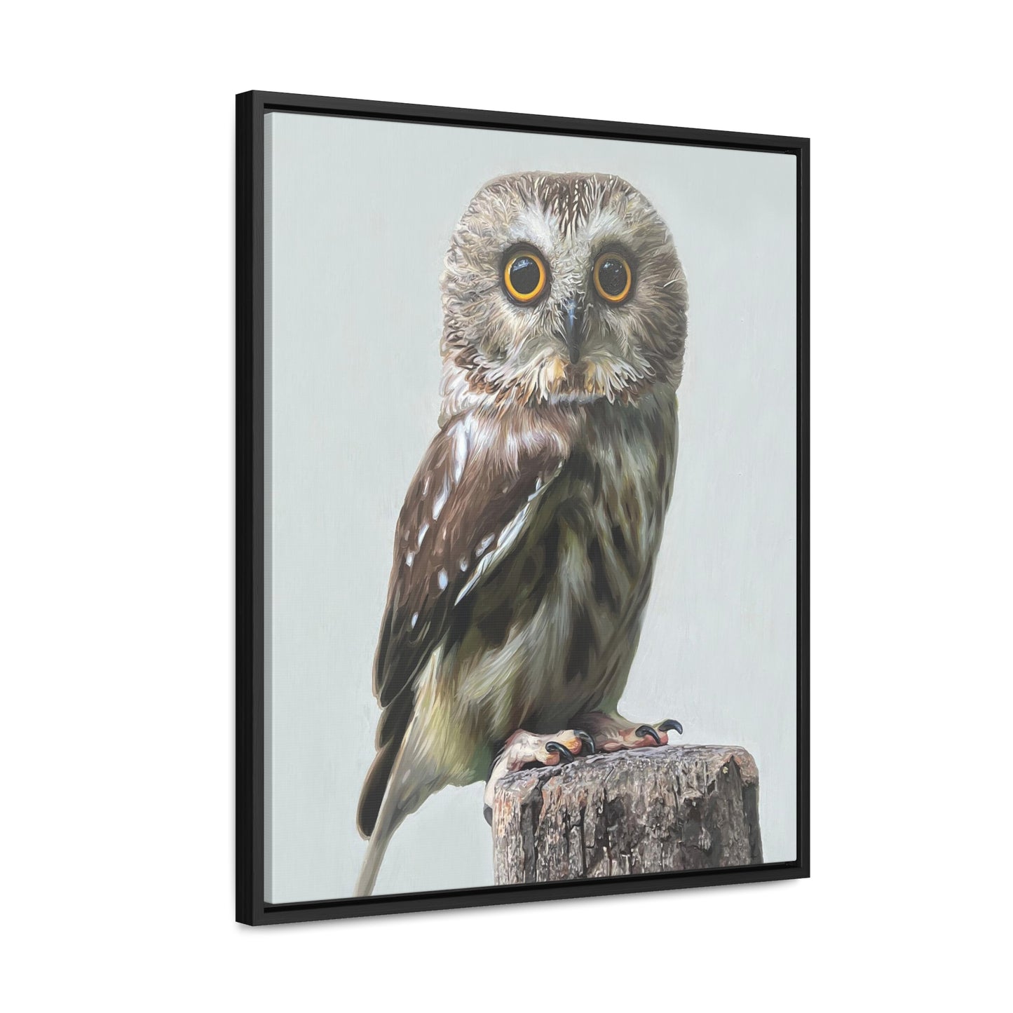 "Owl's Gaze" Framed Canvas